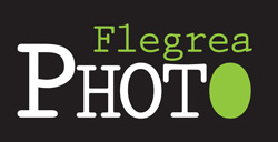 Flegrea Photo - Logo
